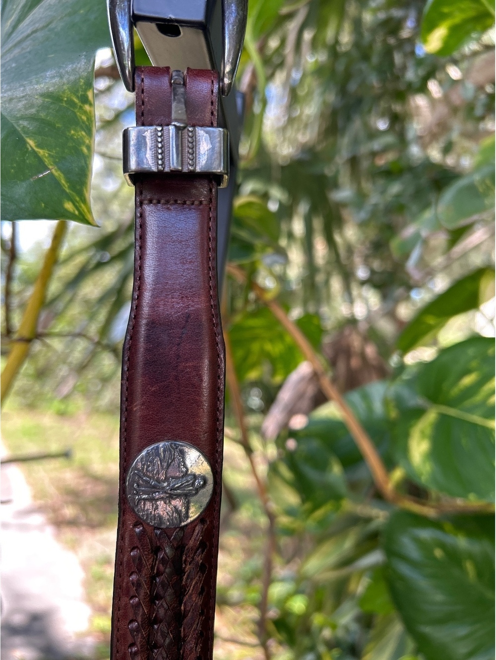 Onyx by Brighton Brown Leather Belt with Silver Buckle and Braided Detail
